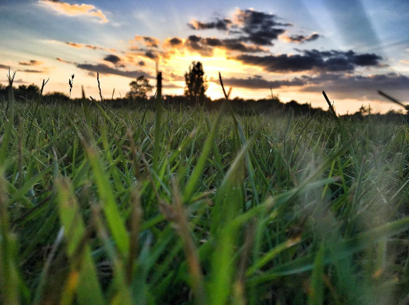 Screen Shot 2016-05-31 at 3.24.04 PM