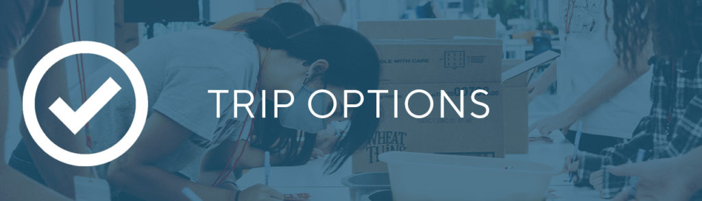 Mission Trip Options